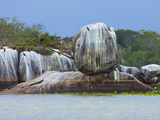 Rock Formation with Crocodiles and Cormorants at Kumana National Park  Formerly Yala East  Kumana  
