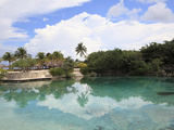 Lagoon  Chankanaab National Park  Cozumel Island (Isla De Cozumel)  Quintana Roo  Mexico  Caribbean