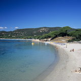 Palombaggia Beach  Near Porto Vecchio  Southeast Coast  Corsica  France  Mediterranean  Europe
