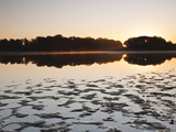 A Pond (Etang) in the Natural Park of La Brenne (Pays Aux Mille Etangs) (Country of a Thousand Lake