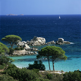 Palombaggia Beach  Near Porto Vecchio  South East Corsica  Corsica  France  Mediterranean  Europe