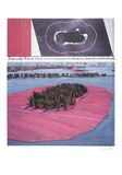 Surrounded Islands  Project for Biscane Bay  Greater Miami  Collage in Two Parts