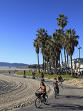 Venice Beach  Los Angeles  California  United States of America  North America