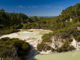 Wai-O-Tapu Thermal Wonderland  North Island  New Zealand  Pacific