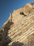 Woman Climbing Steep Steps  Great Wall of China  UNESCO World Heritage Site  Huanghuacheng (Yellow 