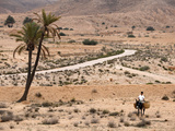 Boy on a Donkey in a Parched Landscape  Gabes  Tunisia  North Africa  Africa
