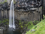 Svartifoss Waterfall  Skaftafell National Park  Iceland  Polar Regions