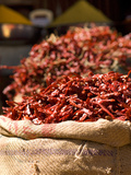 Chillies on Market Stall  Udaipur  Rajasthan  India  Asia