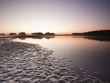A Pond (Etang) in the Natural Park of La Brenne (Pays Aux Mille Etangs) (Country of a Thousand Lake
