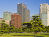 View of City Centre from Imperial Plaza  Tokyo  Japan  Asia