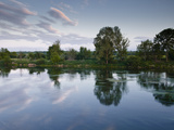 An Almost Mirror Reflection in the River Cher Near Villefranche-Sur-Cher  Centre  France  Europe