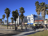 Venice Beach  Los Angeles  California  United States of America  North America