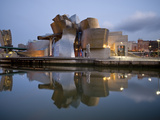 Guggenheim Museum  Bilbao  Euskal Herria  Euskadi  Spain  Europe
