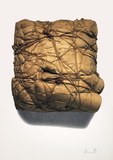 Wrapped Package