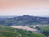 Looking across the Vineyards of Sancerre  Cher  Loire Valley  Centre  France  Europe