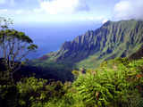 View Above the Na Pali Coast  Kauai  Hawaii  USA