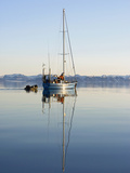 Sv Arctica Motoring in Calm Waters under Midnight Sun  Edgeoya Island  Svalbard  Norway