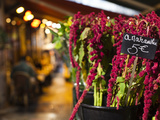 Left Bank Flower Shop  Rue De Buci  Paris  France  Usa