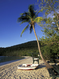 Magens Bay Beach at Sunset  St Thomas  Us Virgin Islands  Caribbean