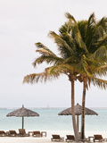 Canouan Resort at Carenage Bay  St Vincent and the Grenadines  Canouan Island