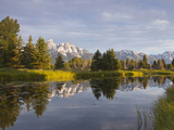 Teton Mountain Reflect in Snake River  Scwabacher Landing  Grand Teton National Park  Wyoming  Usa