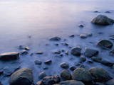Intertidal Zone  Stanley Park  British Columbia  Canada