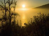 Sweet Fennel  Foeniculum Vulgare  and Sunset over Big Sur Coastline  California  Usa