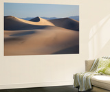 Mesquite Flat Sand Dunes  Death Valley National Park  California  Usa