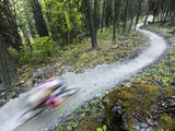 Courtney Feldt Mountain Bikes on Singletrack of the Whitefish Trail Near Whitefish  Montana  Usa