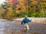 A Man Fly-Fishing on the Swift River in Albany  White Mountains  New Hampshire  Usa