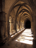Cloister Detail  Arles  Cloitre St-Trophime  Bouches-Du-Rhone  Provence  France