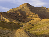 Landon Monholland Mountain Bikes on the Zippy Doo Dah Trail in Fruita  Colorado  Usa