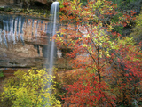 Waterfall with Fall Foliage  Emerald Pools  Zion Canyon  Zion National Park  Utah  Usa