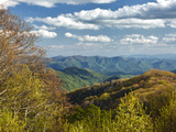 Spring View of Deep Creek Valley  Great Smoky Mountains National Park  North Carolina  Usa