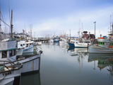 Fishing Boats  Fisherman's Wharf  San Francisco  California  Usa