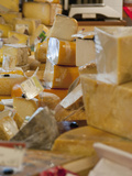 Variety of Cheese  Ferry Plaza Farmers Market  San Francisco  California  Usa