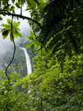Waterfall in Rainforest Along Fortuna River  La Fortuna  Costa Rica
