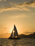 Sailboat at Sunset  Bay of Land's End (El Arco) Cabo San Lucas  Baja  Mexico