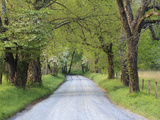 Lane at Cades Cove in the Spring in the Smoky Mountains National Park  Tennessee  Usa