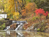 Fall Color Along the Old C and O Canal  C and O National Historic Park  Maryland  Usa