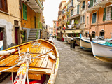 Fishing Boats in Manarola  Cinque Terre  Tuscany  Italy