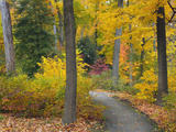 Autumn Colors in Black and White  Longwood Gardens  Pennsylvania  Usa