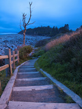 Beautiful Beach Area at Dusk  Kalaloch Lodge on the Olympic Coast  Washington  Usa