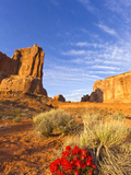 Desert Paintbrush Livens Up the Landscape Near Courthouse Towers in Arches National Park  Utah  Usa