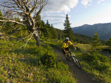 Steve Bjorklund Rides the Singletrack of the Bangtail Ridge Trail Near Bozeman  Montana  Usa Mr