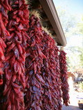 Outdoor Market  Sedona  Arizona  Usa