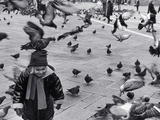 Pigeons in Piazza San Marco  Venice  Veneto  Italy