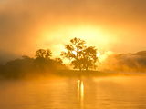 Fog on the Missouri River at the Upper Missouri River Breaks National Monument  Montana  Usa