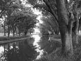 Shaded River in the Pampa Region  Argentina