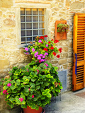 Late Summer in the Tuscan Village of Volpaia  Tuscany  Italy